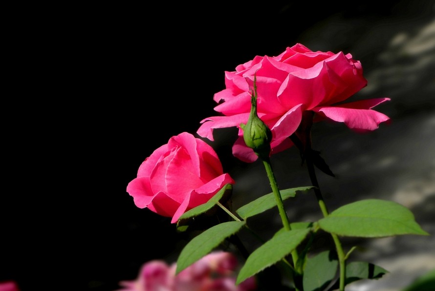 QQͼƬ20140308134804.jpg