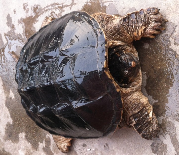 QQͼƬ20140319203224.jpg
