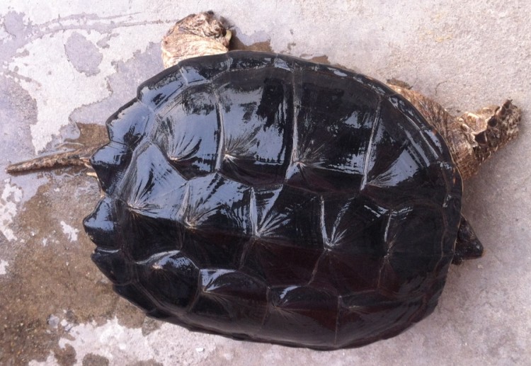 QQͼƬ20140319203301.jpg