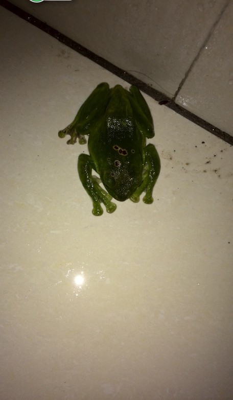 QQͼƬ20140411150130.jpg