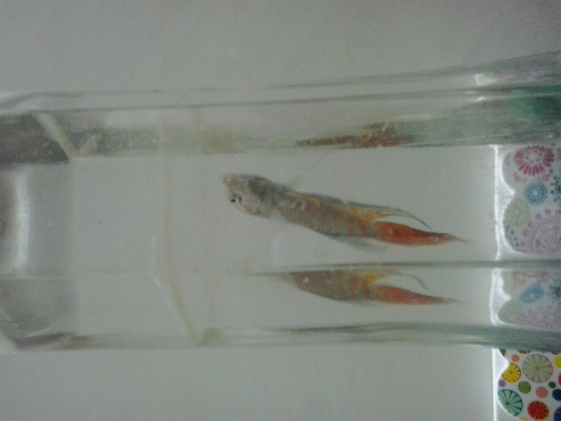 20140428_215917.jpg