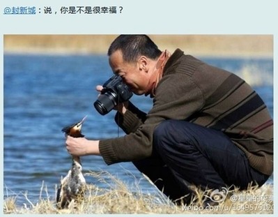 1405092243362120--ss1.jpg