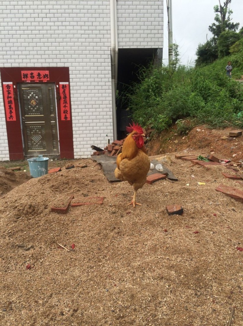 QQͼƬ20140521203019.jpg
