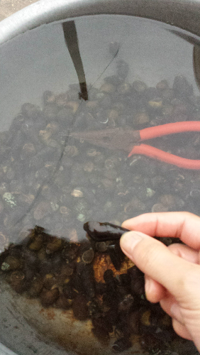 20140429_180432.jpg
