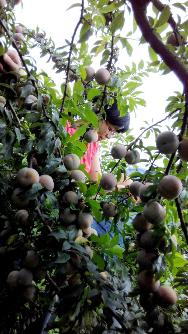 Ƭ 053.jpg