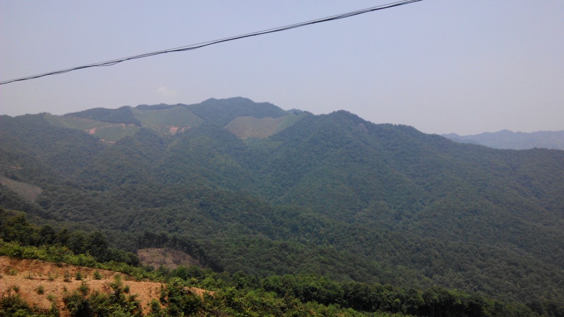 IMG_20140613_113917.jpg