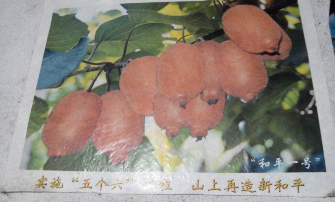쵱Ŀںţܶȴòڻ