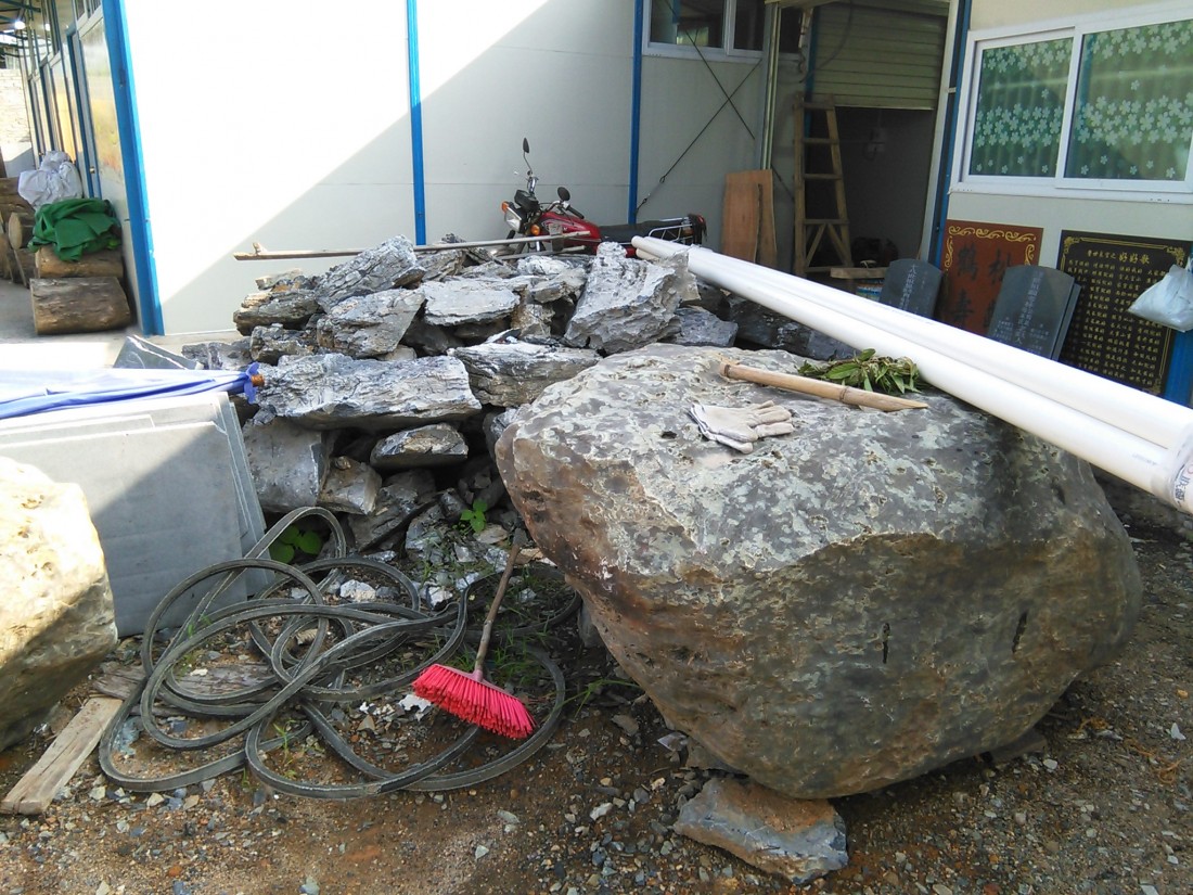 19.jpg