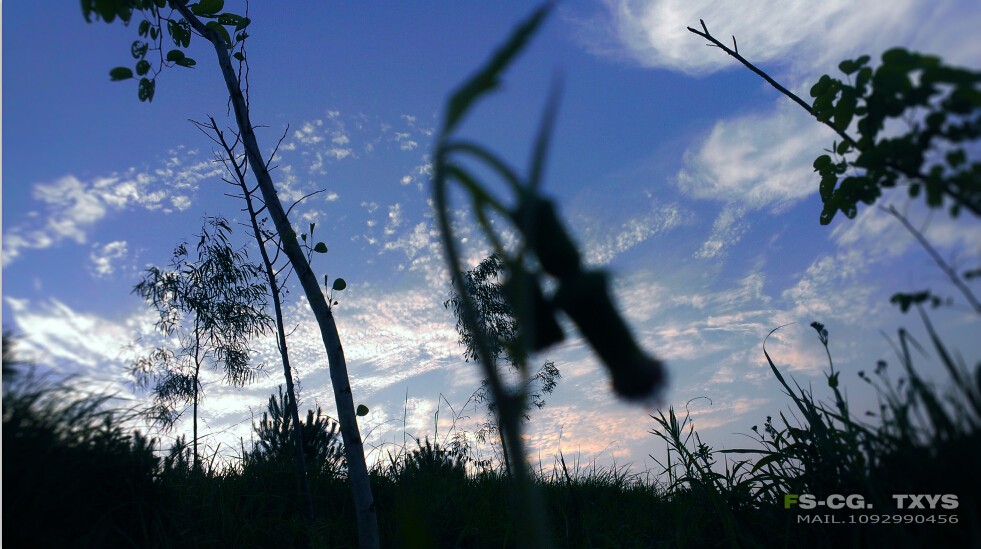 QQͼ20140921191325.jpg