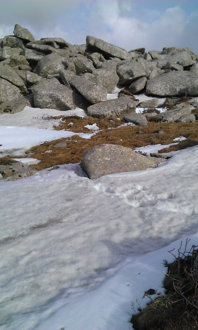 WP_20140428_055.jpg