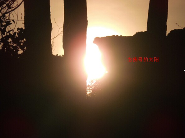 $UE%]%_390G6XWRF2{N6C.jpg