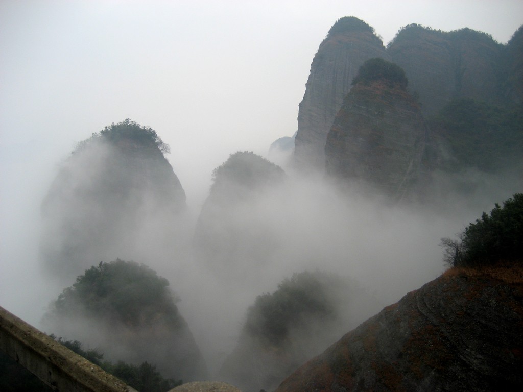 IMG_4925.JPG
