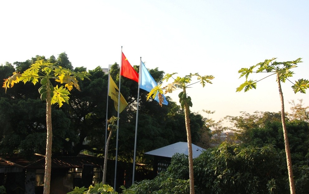 105006xionmgv0jlag82ve.jpg.thumb.jpg