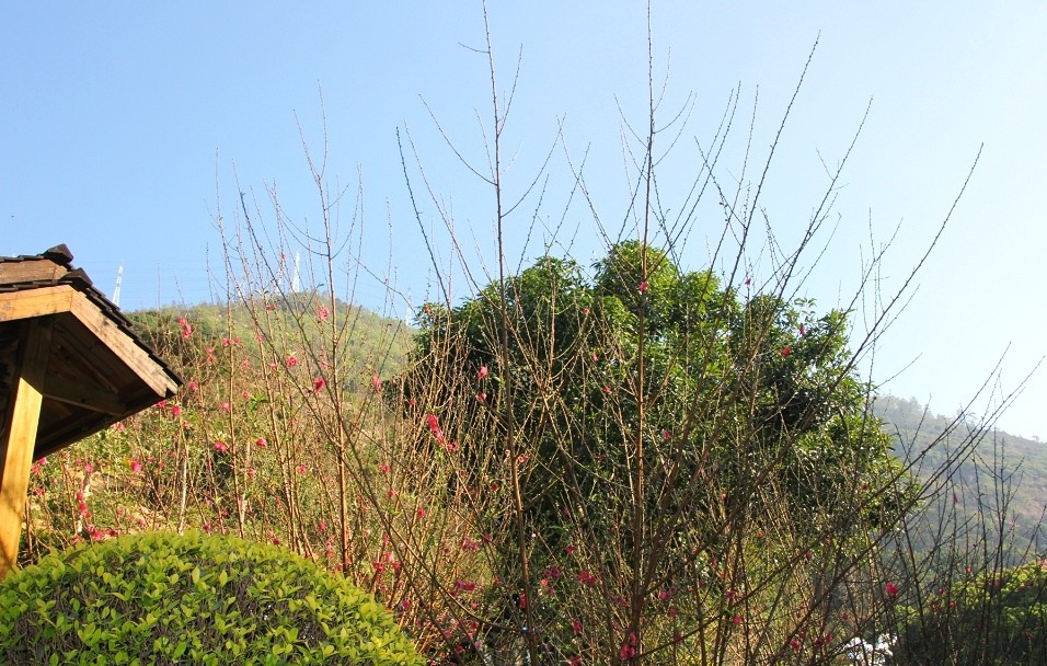 110059dz3jwkzn3332wndp.jpg.thumb.jpg
