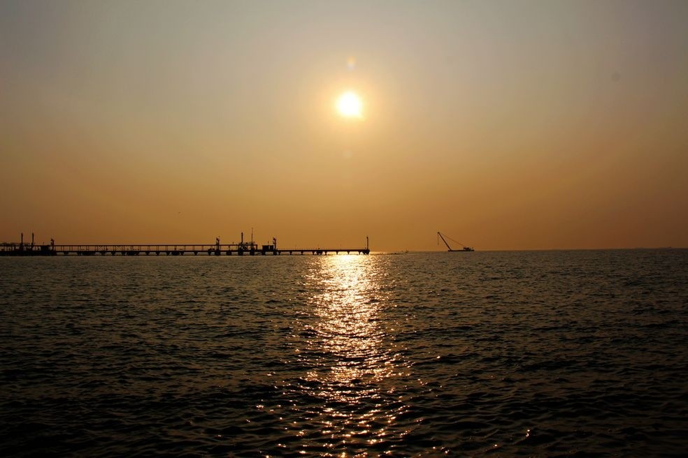 200629d5n5cfn55cp52wcf.jpg.thumb.jpg