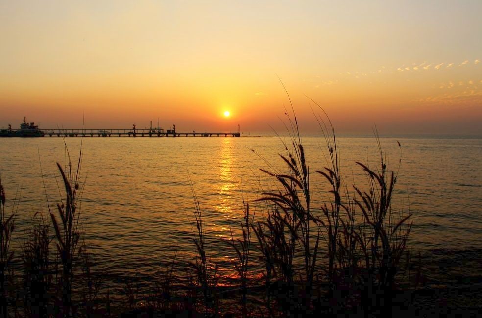 200630rf7vua7bb2p44h0h.jpg.thumb.jpg