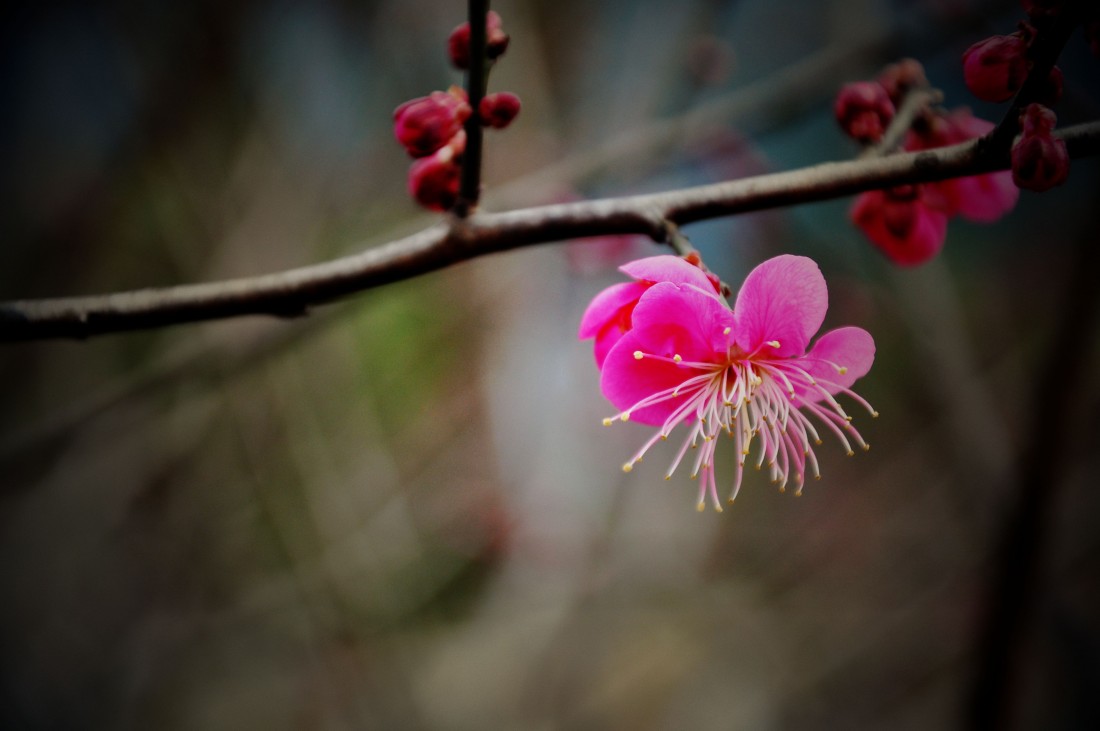 DSC_0035_.jpg