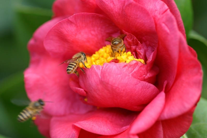 111437q111nx1cwec3nnvj_jpg_thumb.jpg