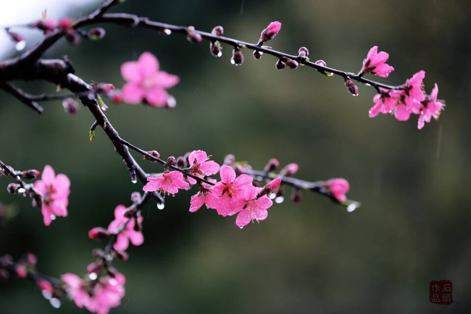 QQͼƬ20150224225157.jpg