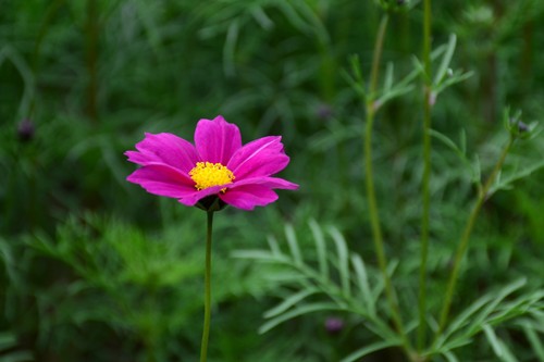 DSC_1061__.jpg