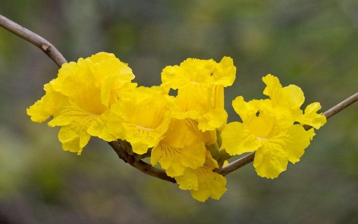 20120312102025.jpg