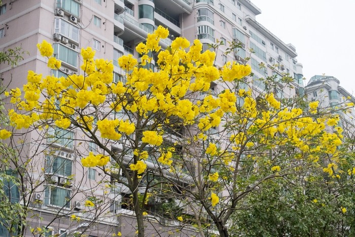 20120312102139.jpg