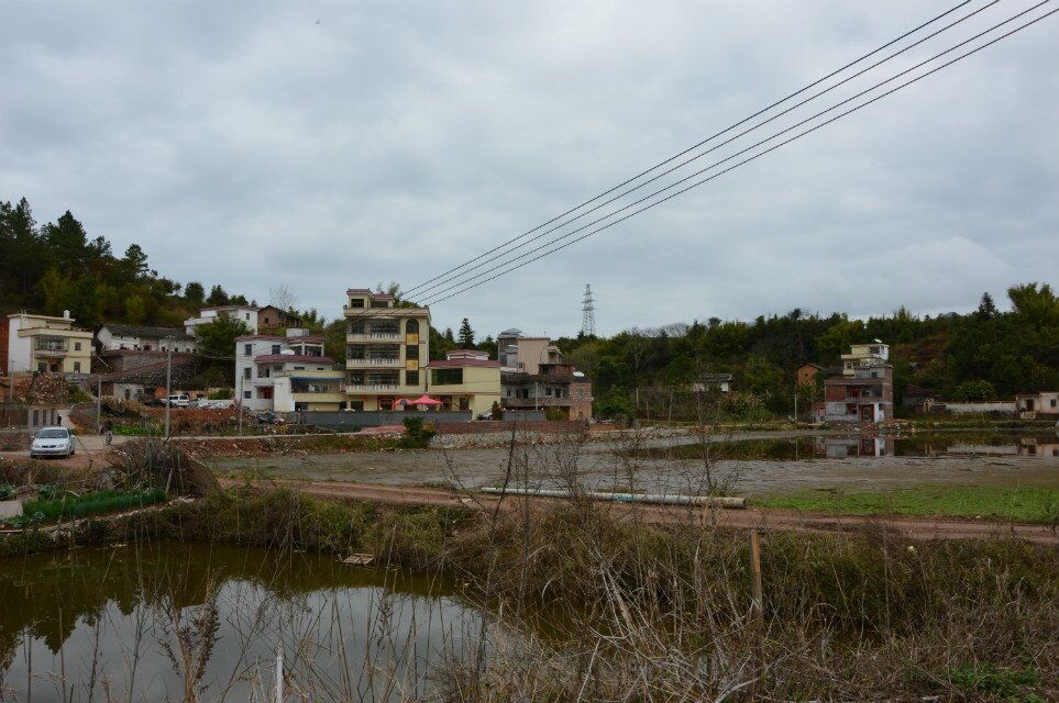 QQͼƬ20150314113449.jpg