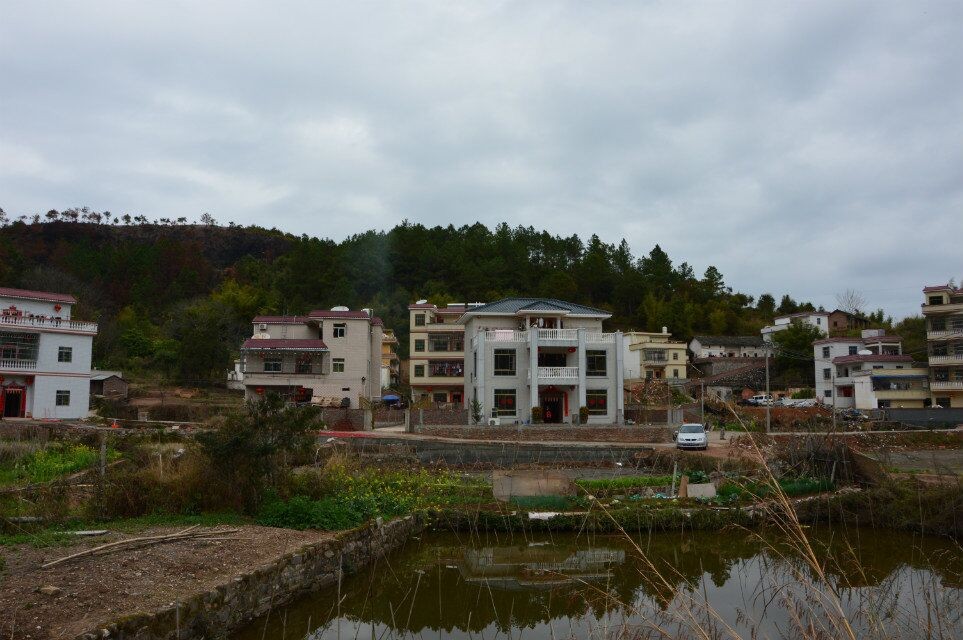 QQͼƬ20150314113455.jpg