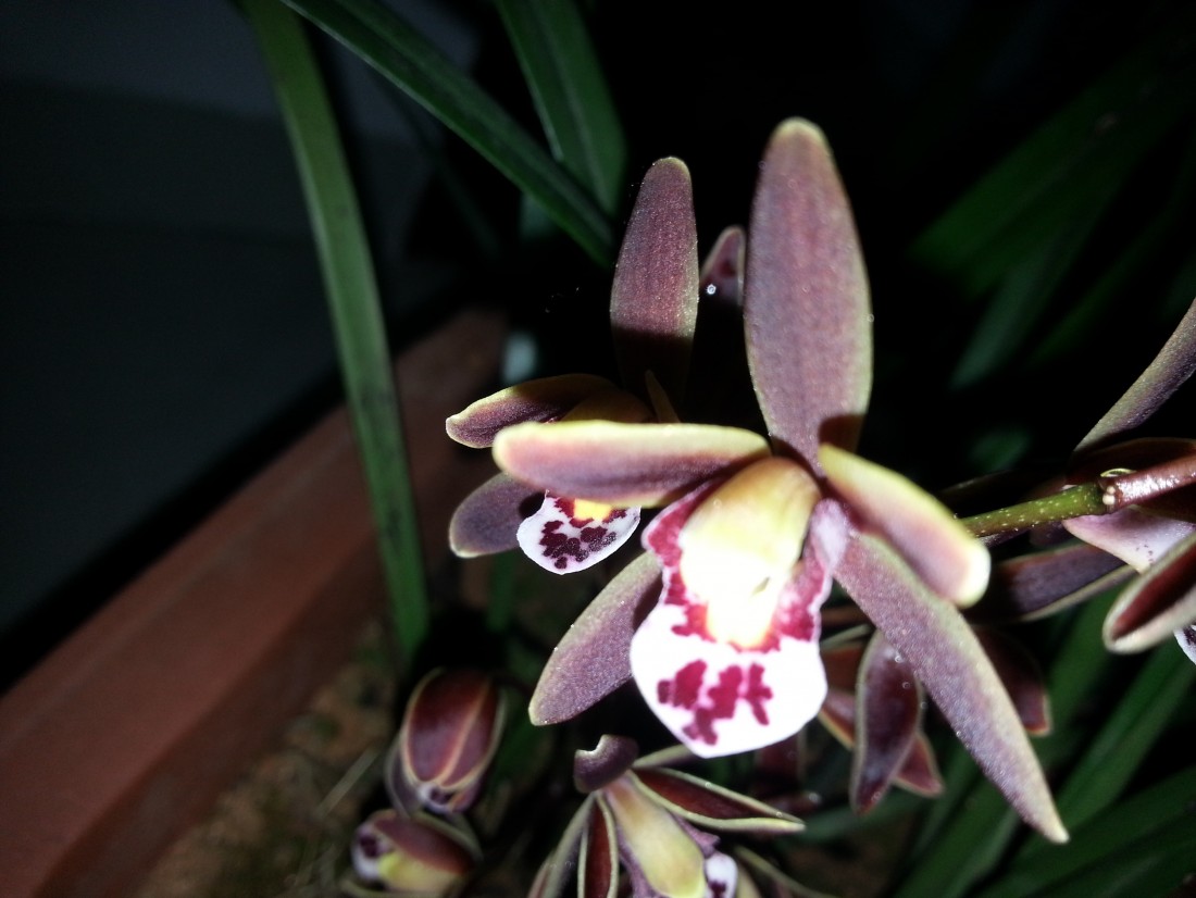 20150316_094917.jpg