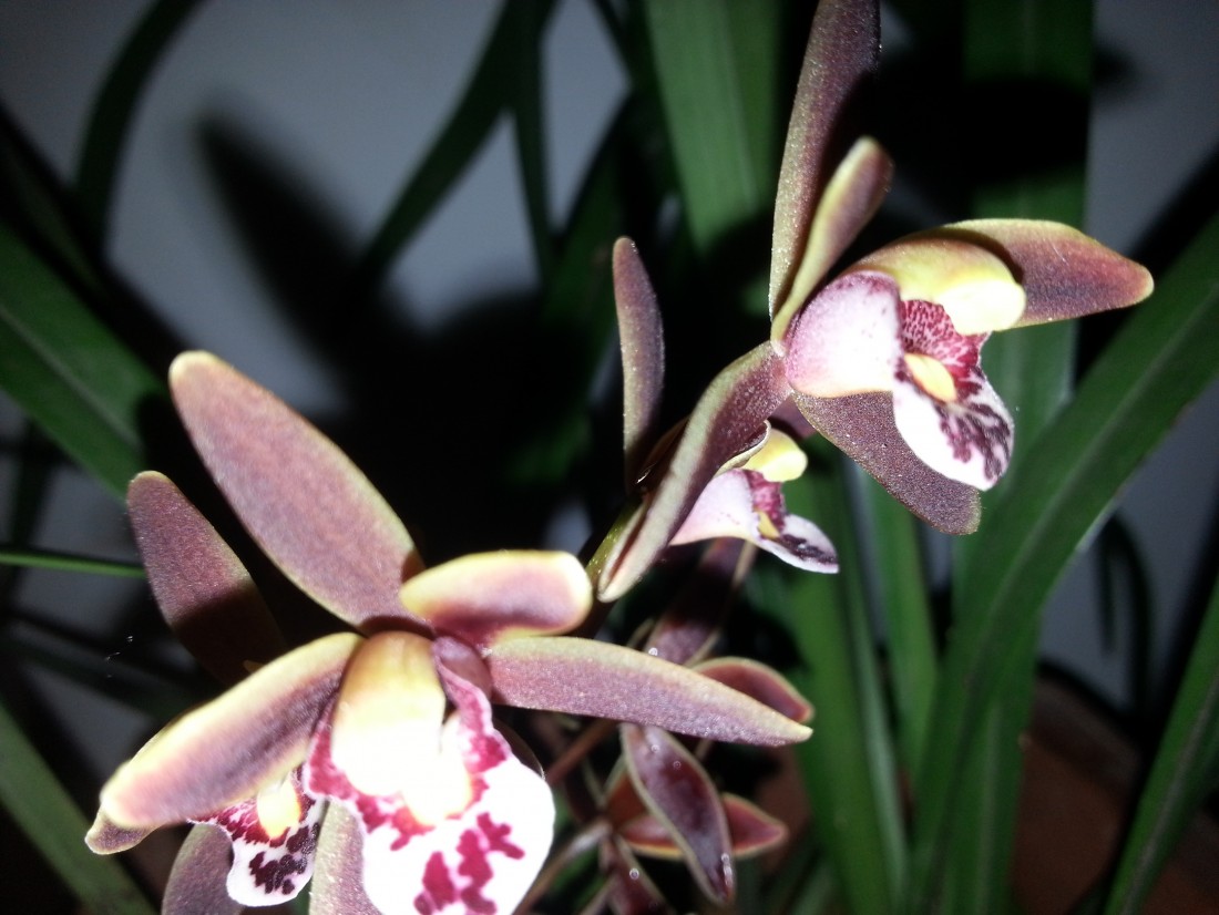 20150316_095321.jpg
