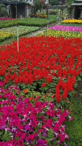 IMG_20141204_110107.jpg