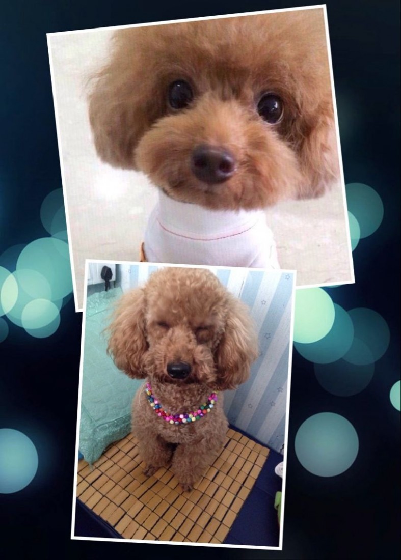 QQͼƬ20150502115129.jpg