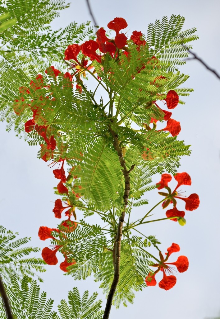 110456c367z4x6dkzkxjc1_jpg_thumb.jpg