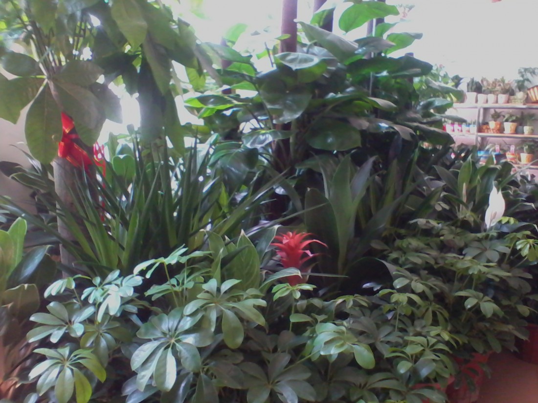 ½ļIMG_20150528_104523.jpg