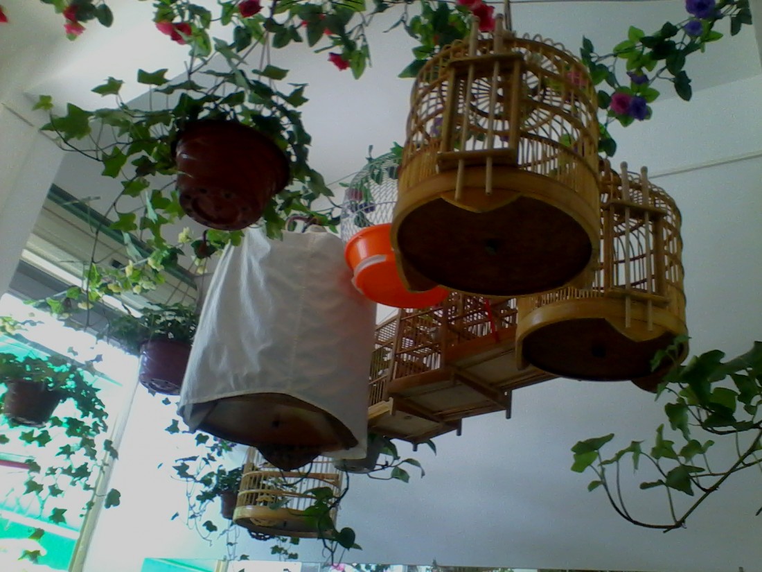 ½ļIMG_20150528_104659.jpg