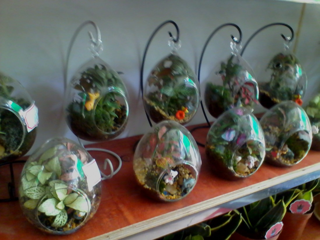 ½ļIMG_20150528_104444.jpg