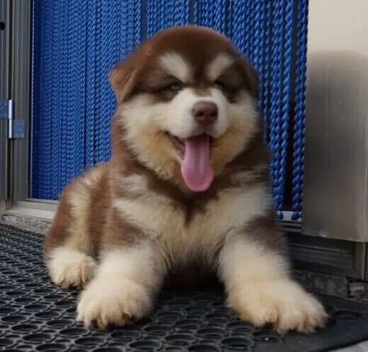 QQͼƬ20140904155924.jpg