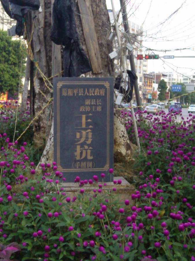 QQͼƬ20150702095624.jpg