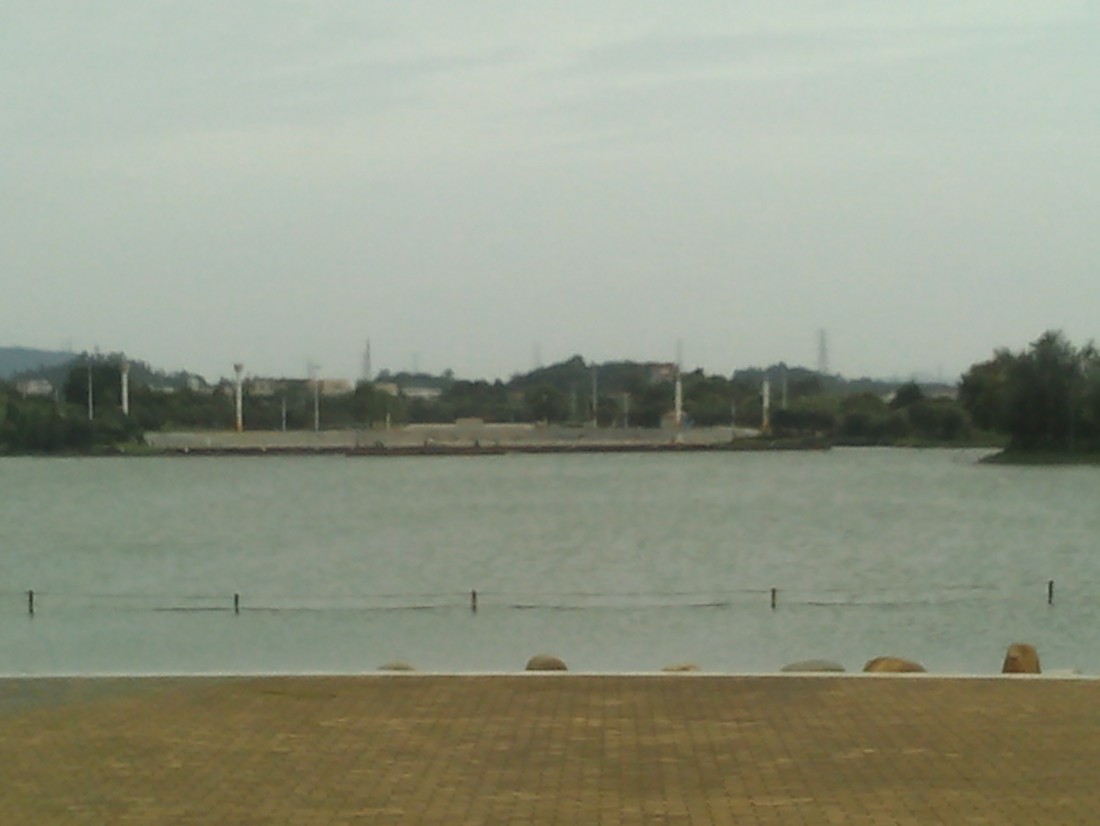 IMG_20150709_161615.jpg