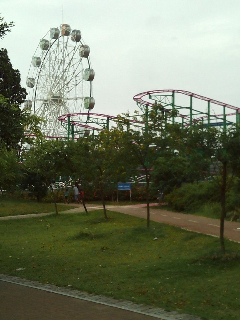 IMG_20150709_160020.jpg