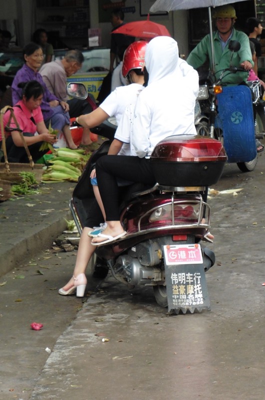 P1000064.jpg
