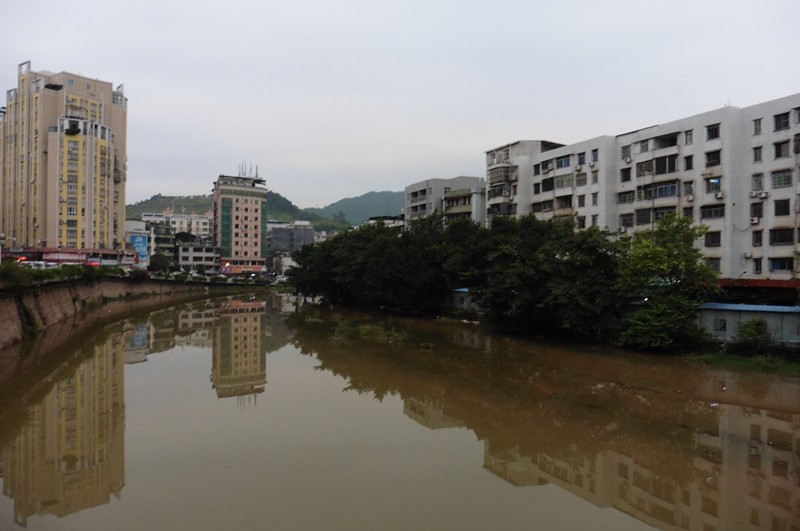P1000036.jpg