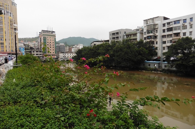 P1000037.jpg