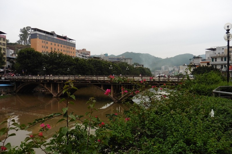 P1000038.jpg
