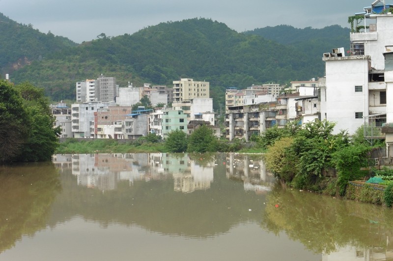 P1000068.jpg
