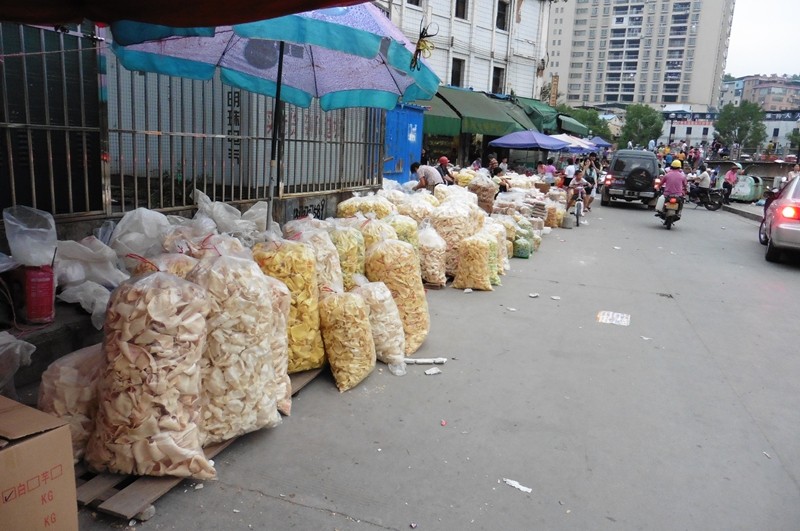 P1000041.jpg