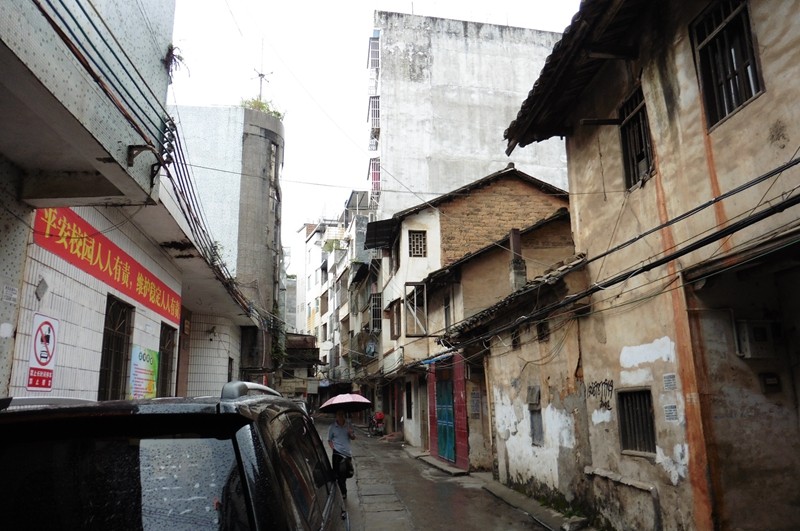 P1000091.jpg