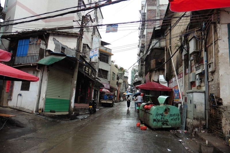 P1000097.jpg