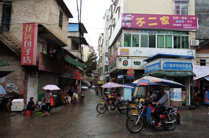 P1000098.jpg