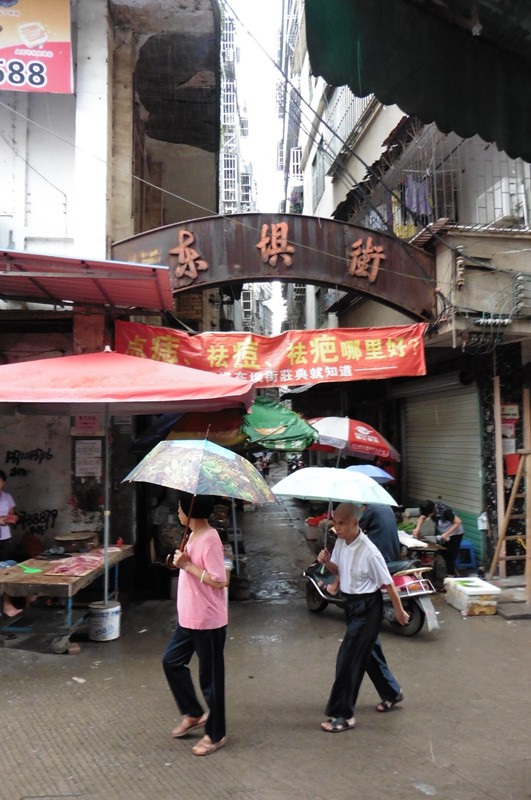 P1000100.jpg